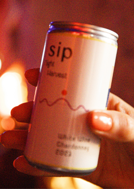 SIP can close